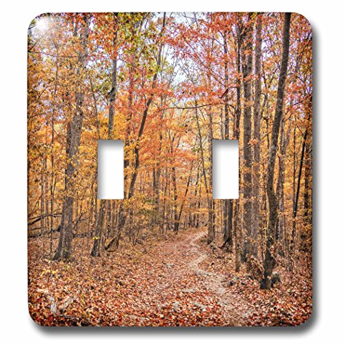 Interrupteur à bascule double Automne dans la forêt 3dRose lsp_253993_2 - 2
