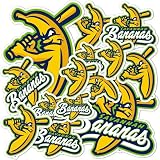 Desert Cactus Savannah Bananas Sticker Decal (T1-3)