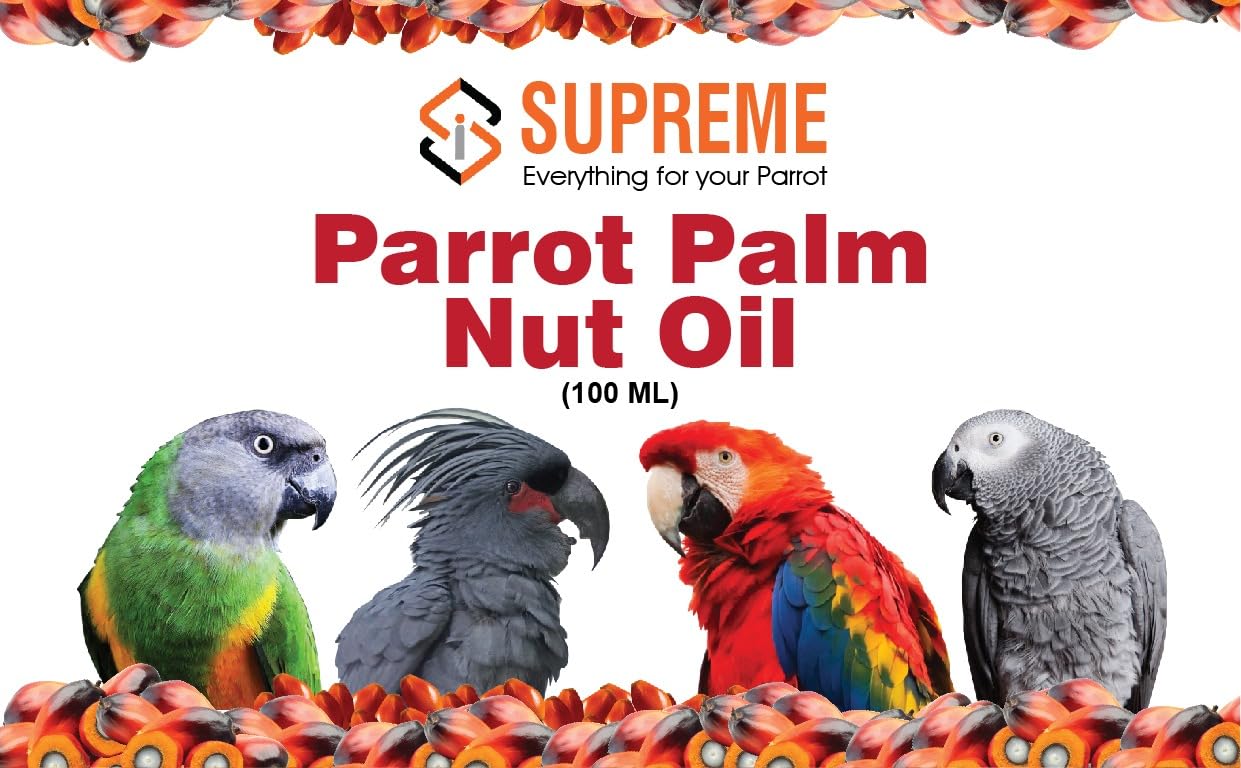 Supreme Palm Nuts Oil for Healthy Feather & Healthy Life for Conures, Cockatiels, African Grey, Macaws, Cockatoo, Eclectus, and Other Birds (100ml). Supports Skin Health Colour and Condition (B0CS6RZRGX) Amazon Price History, Amazon Price Tracker