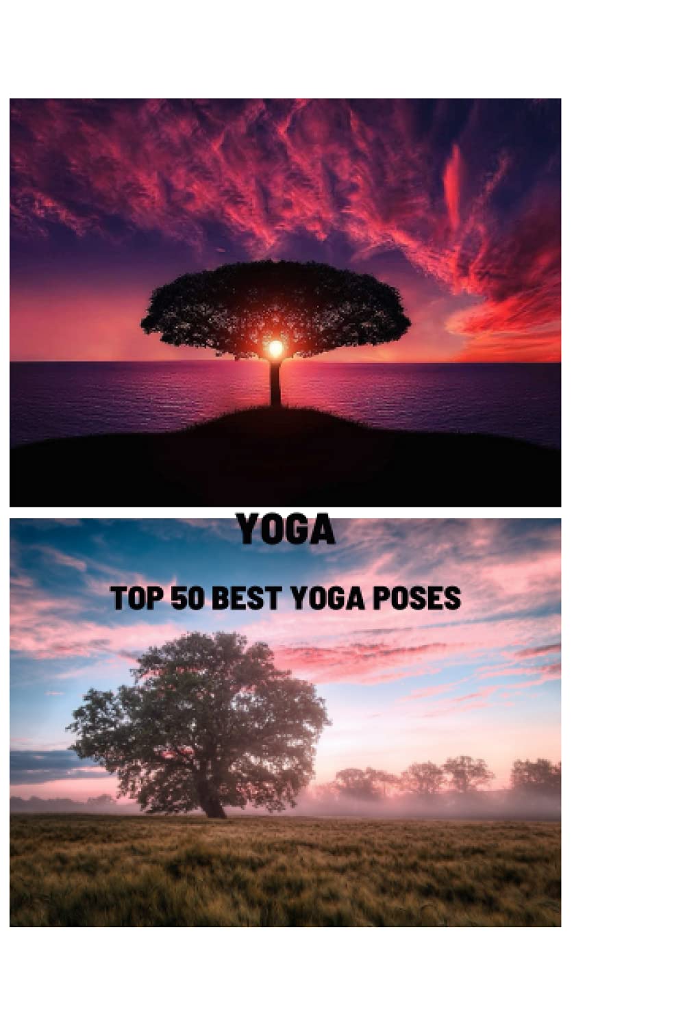 その他 50 Best... Yoga Positions 50 Must-know BEGINNER YOGA POSES | Yoga for beginners - YouTube