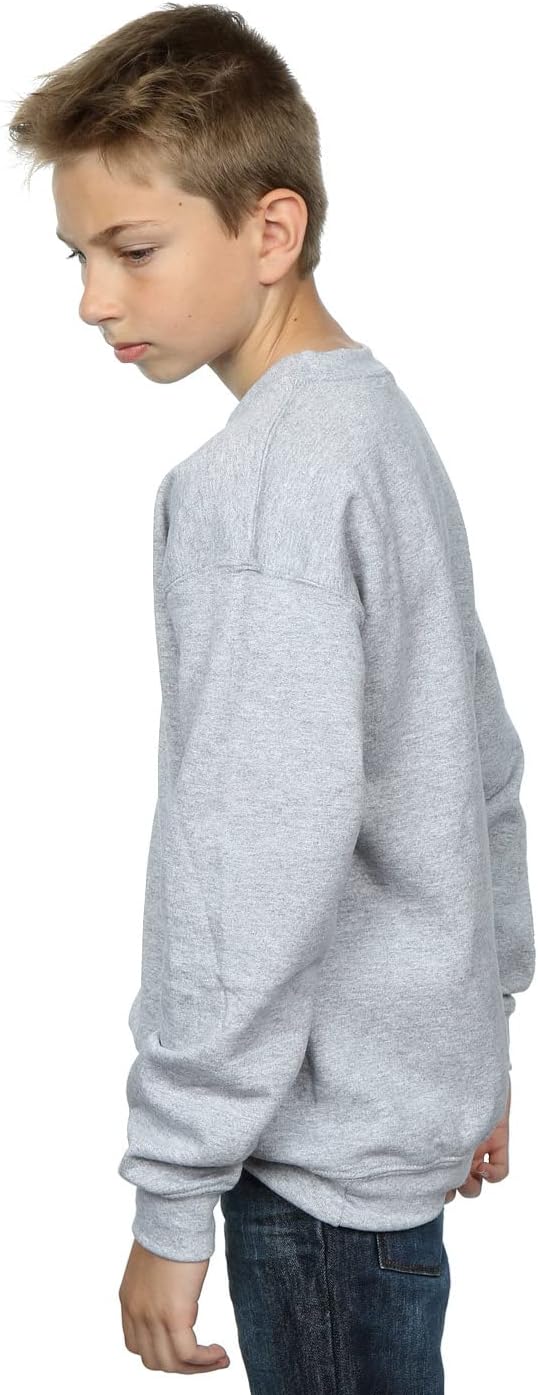 Disney Boys The Lion King Classic Simba, Timon and Pumbaa Sweatshirt 12-13 Years Sport Grey