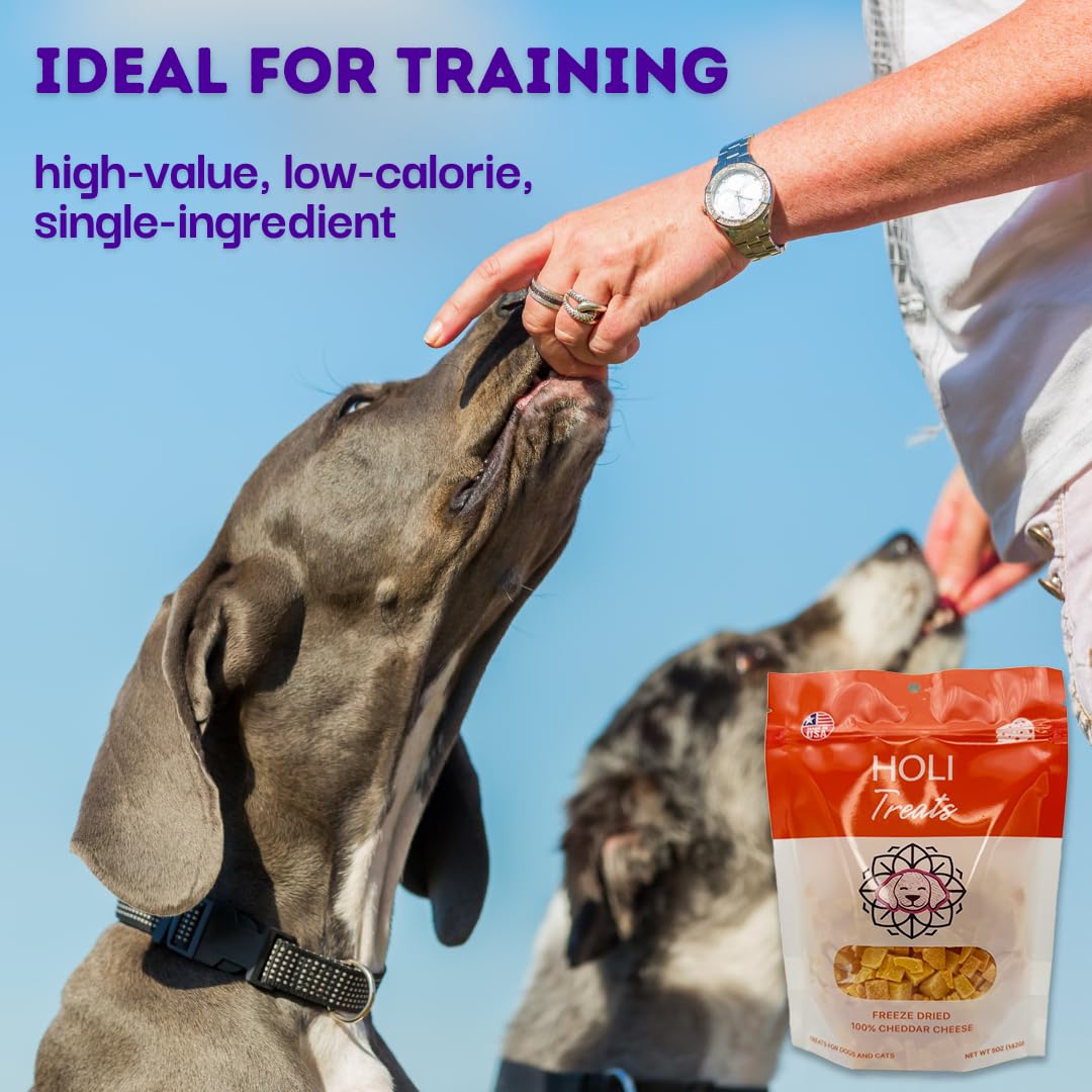 HOLI Freeze Dried Cheddar Cheese Dog Treats - 100% All Natural - Human Grade, Single Ingredient, Lactose Free - Grain Free, Gluten Free, Soy Free – (5 Ounce)