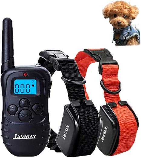 dog shock collar amazon