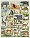 Cavallini & Co. Animal World 1,000 Piece Puzzle