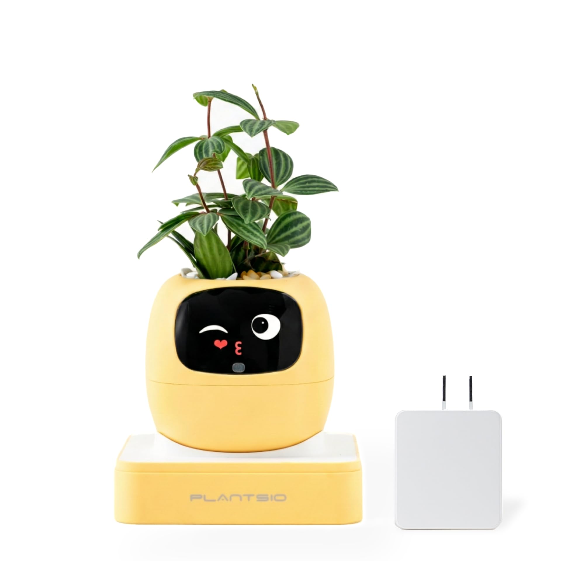 Amazon.co.jp: 【国内販売正規品】 Ivyスマートプランター Gen2