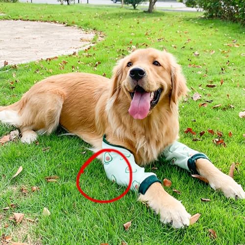 Image of Dog Elbow Protector, Thickened Elbow Sleeves with Mesh Pad for Medium Large Dogs Winter Autumn Prevent Licking Wound (Avocado,L)