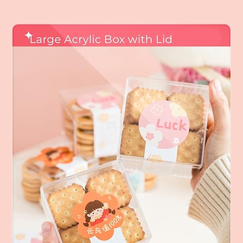 Miniatura 9 de Caja de acrílico transparente con tapas, paquete de 4 cubos cuadrados de plástico acrílico de 4.3 x 2.7 x 1 pulgadas, cajas de dulces de Navidad