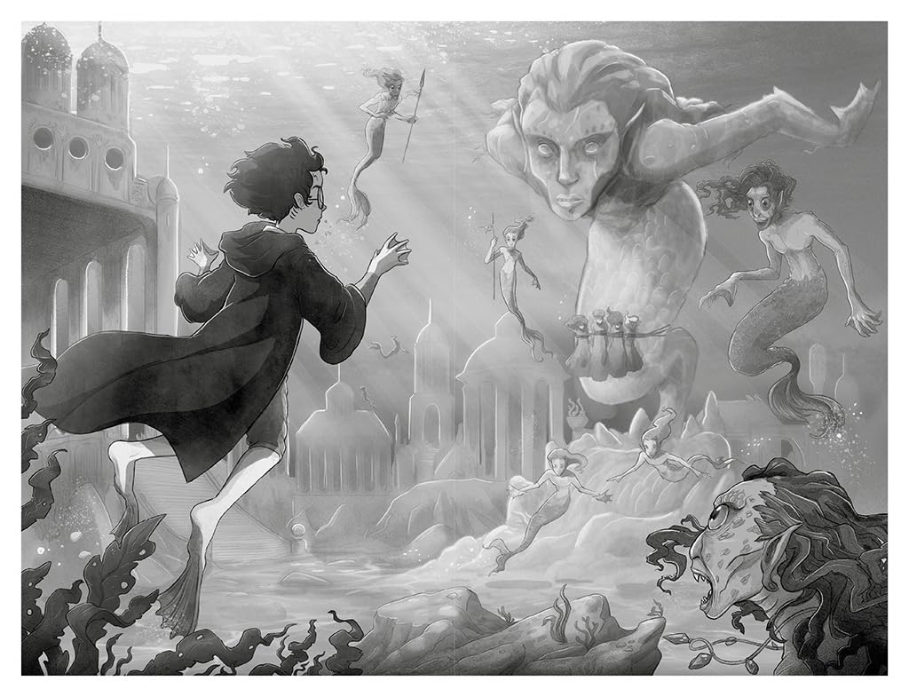 Harry Potter y el cáliz de fuego (Harry Potter [edición con ilustraciones de Xavier Bonet] 4)