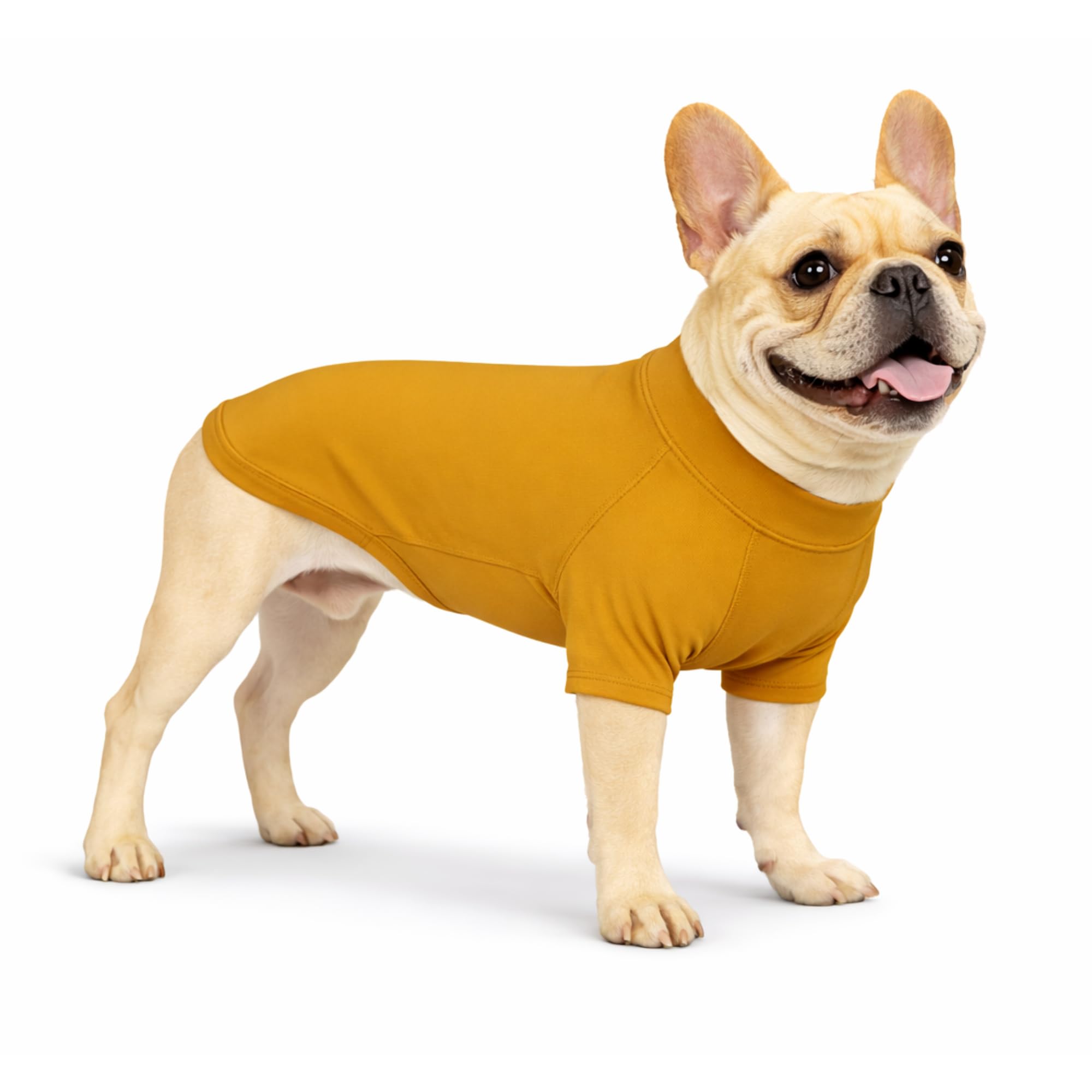 T-shirt pour chien quatre saisons idéal pour les balades en plein air