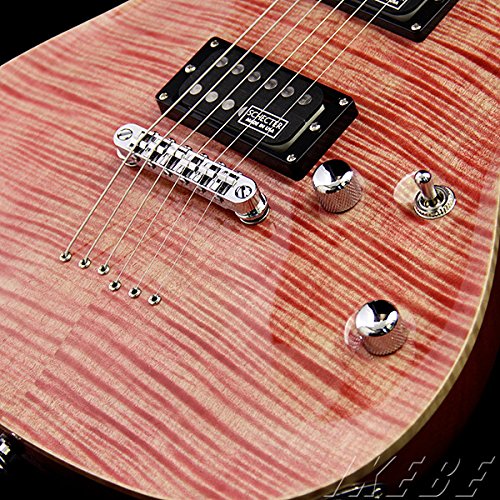 Amazon | SCHECTER シェクター エレキギター Rexy Series RX-2-24-CTM