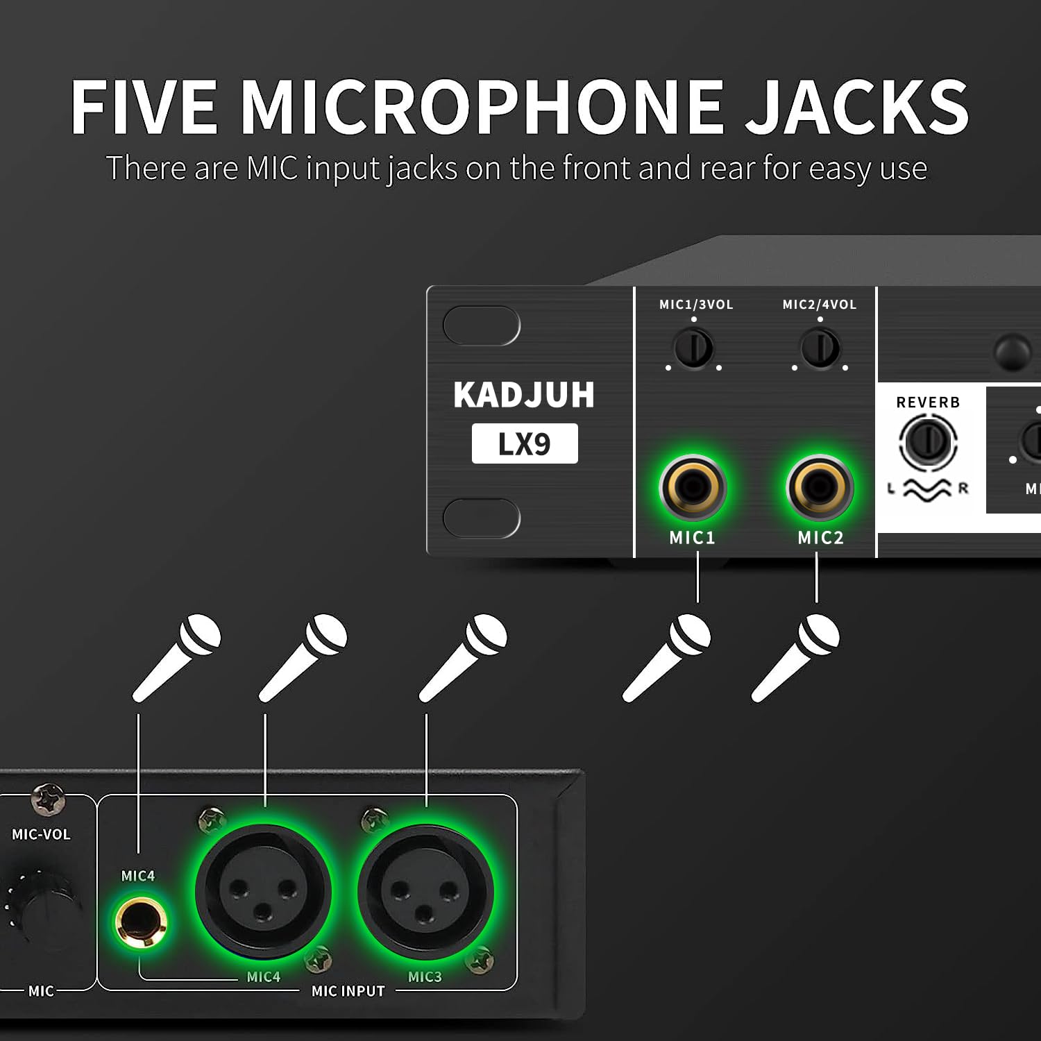 Amazon.com: LX9 Professional KTV Digital Pre-stage Effector Anti