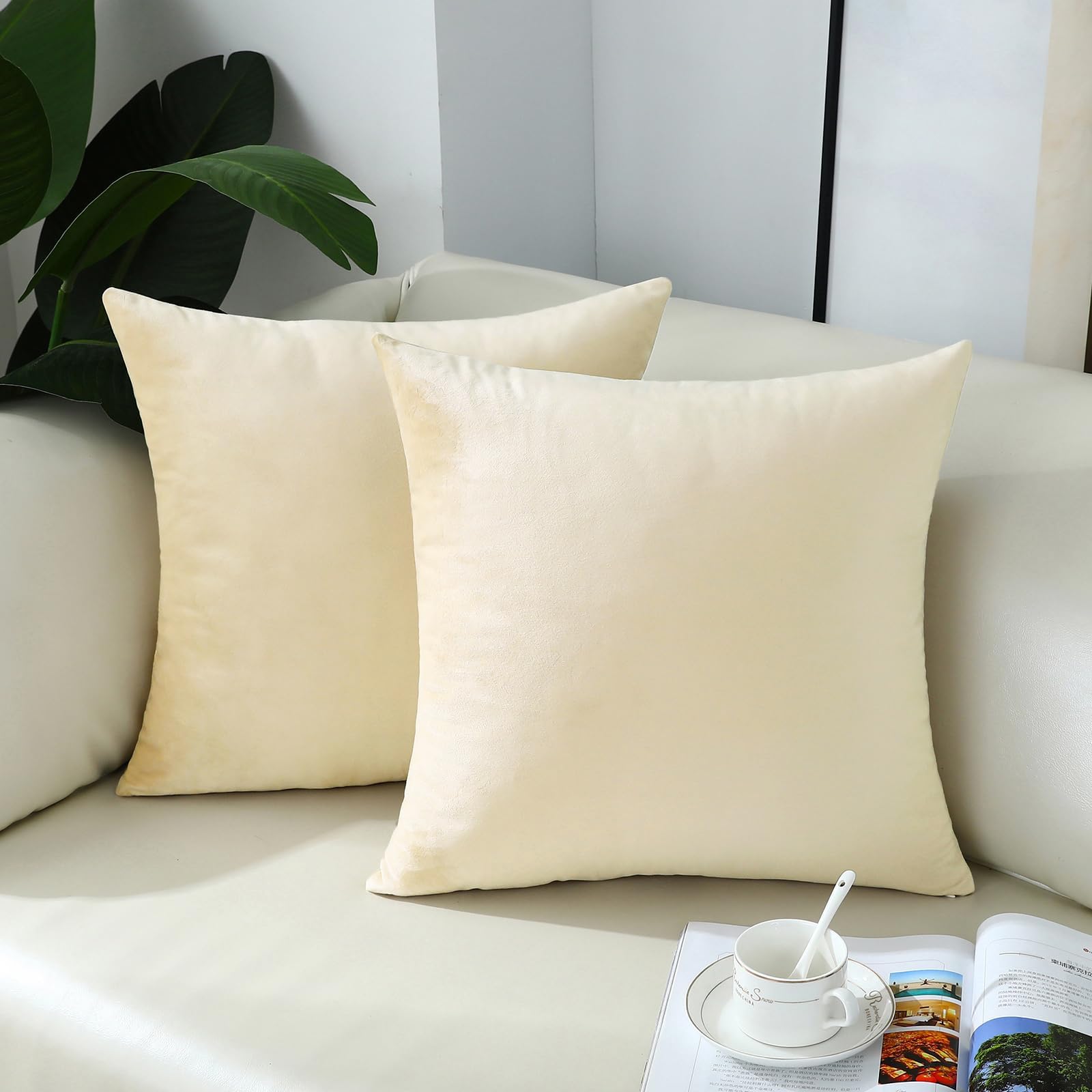 mixeoo Comfy Cream Throw Pillow Covers Decorative Square Velvet Super Soft White Cushion Couch Cases for Livingroom Sofa Decor, Set of 2, 18 x 18 Inch