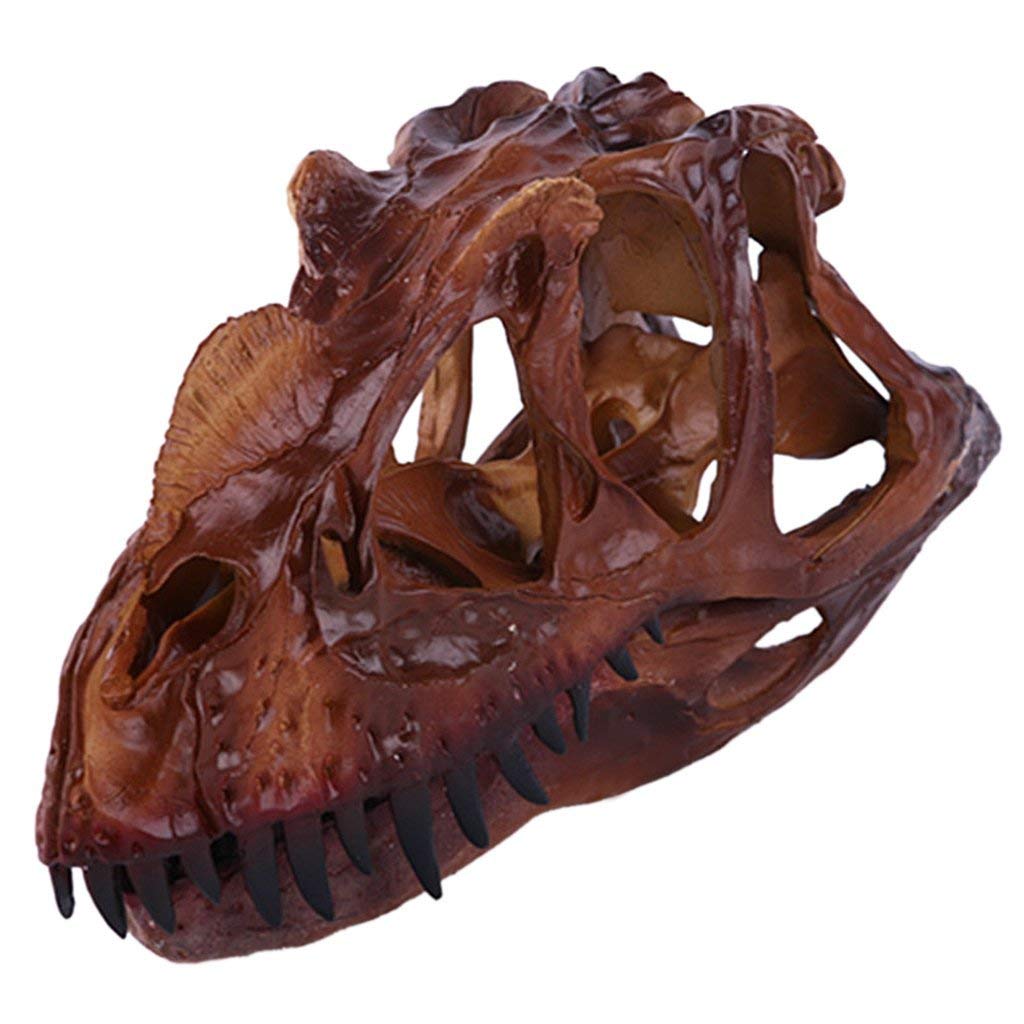 Inzopo Brown Dinosaur Ceratosaurus Skull Resin Fossil Model Collectibles Home Bar Decor