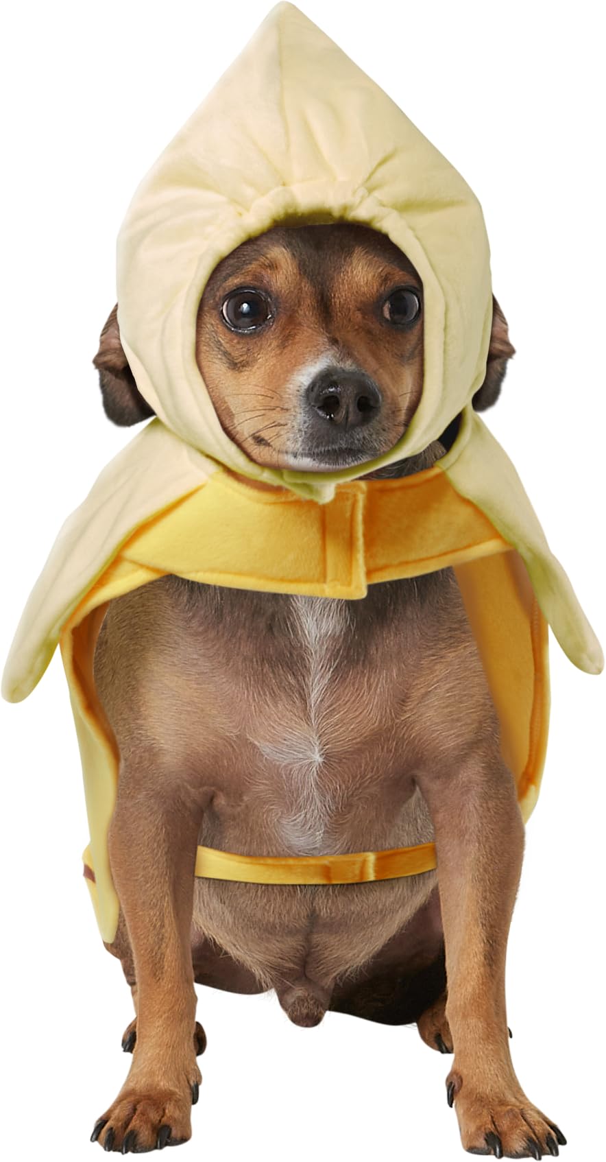 Rubie's Banana Pet Costume, Medium, As Shown - Image 3