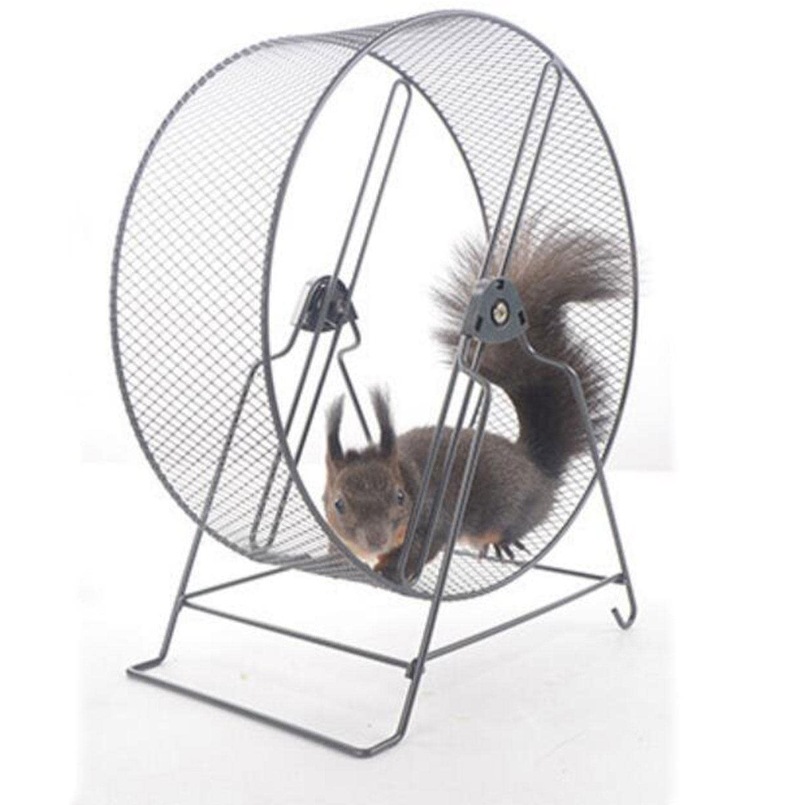 MagiDeal Roue d'exercice de Course de Hamster en Fer avec Support Roue de Jogging de Cochon d'Inde pour hérissons, Rats, écureuil Silencieux, 26x15x28.5cm