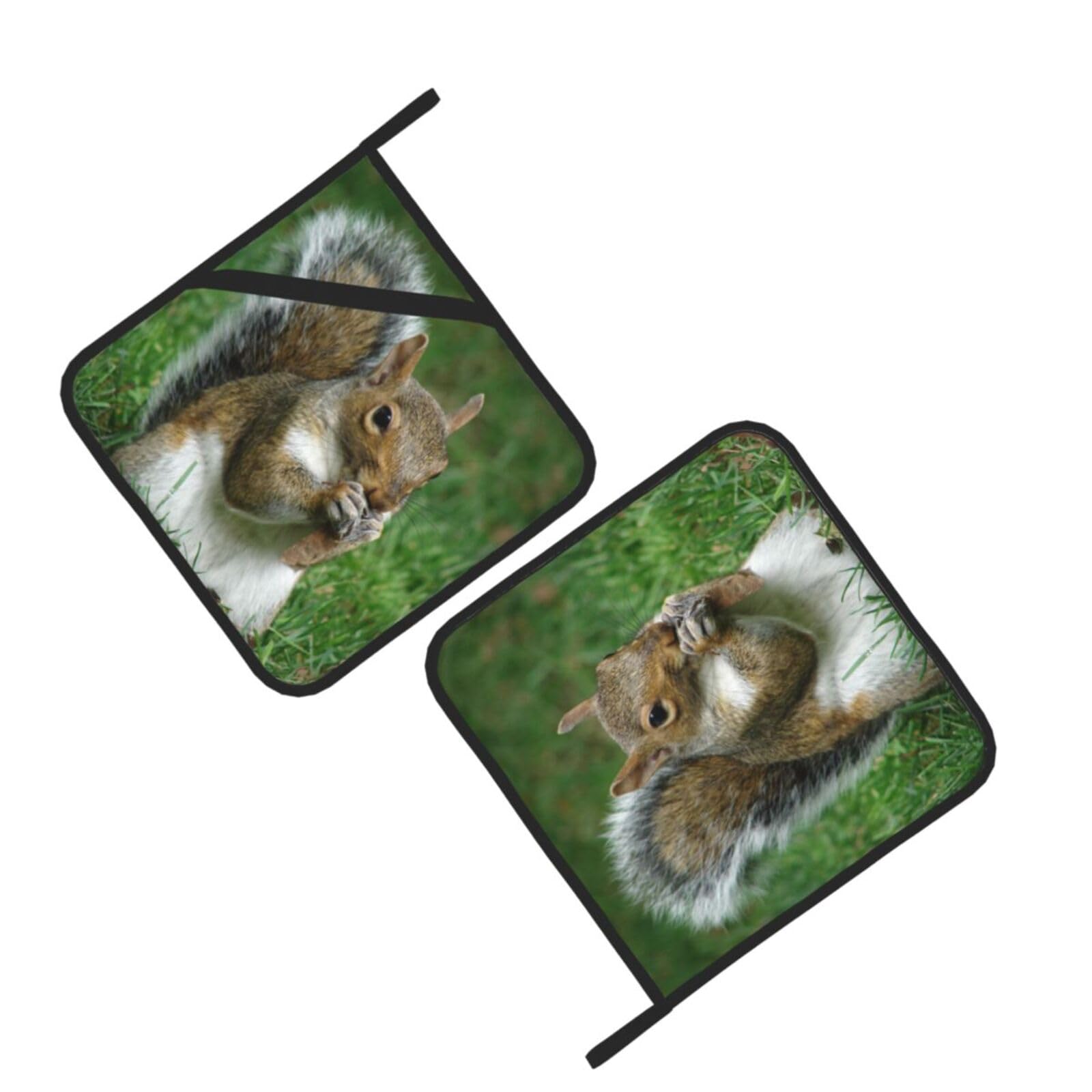 Squirrel Printed Oven Pot Holders Set of 2 Pcs Heat Resistant Kitchen Microwave Potholders for Cooking Baking Grilling