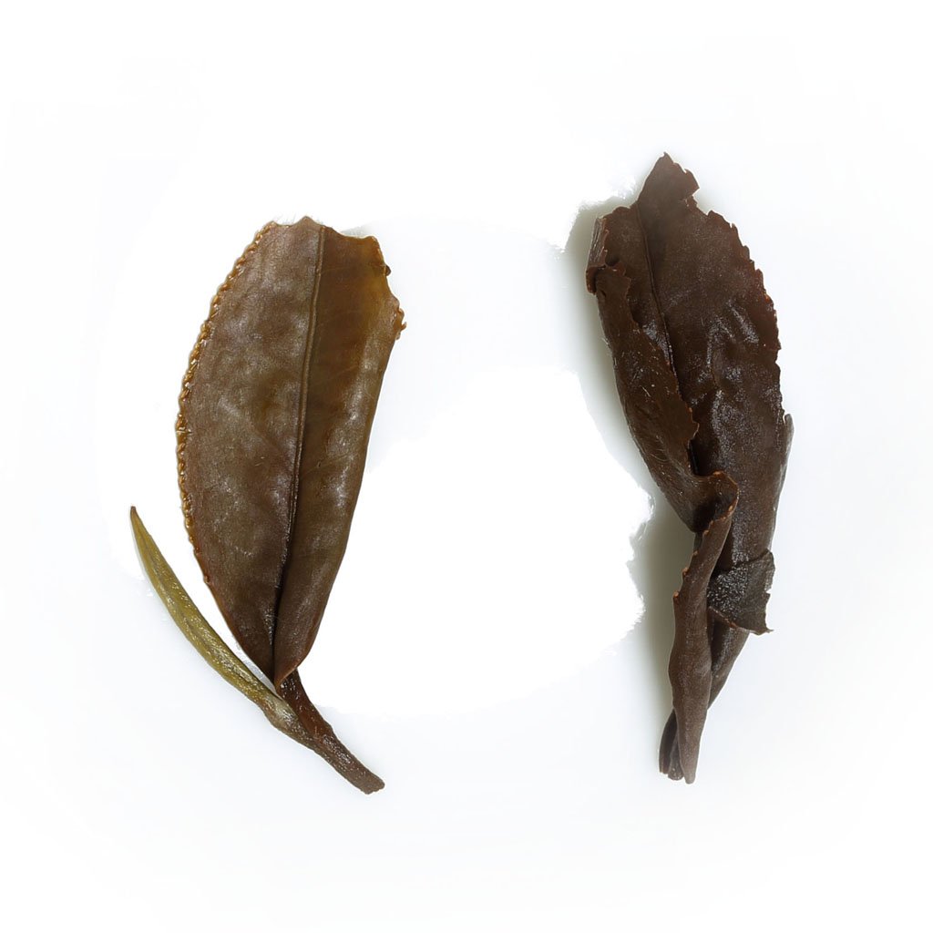 GOARTEA White Tea - 500g 17.6oz Fuding Wuyi Supreme Gong Mei Tribute Eyebrow Sweet White Tea Bags - Chinese Weißer Tee