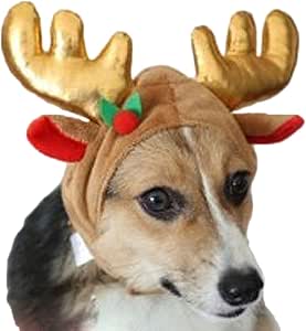 4 Cappellini Da Festa Per Cani E Gatti - Decorazione Colorata Con Pon Pon Per Compleanni E Matrimoni