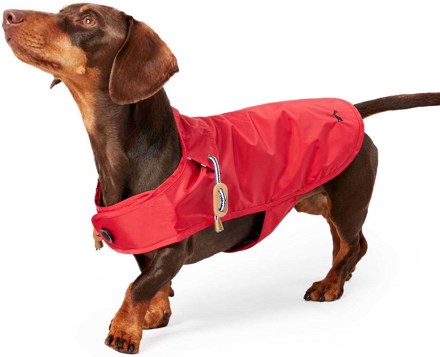 Rosewood Joules Navy Blue Raincoat For Dogs, Small Amazon.co.uk Pet