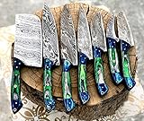 Kitchen knife set, Hand made Damascus Steel Chef knife set, Fixed Blade knives With Leather Roll kit