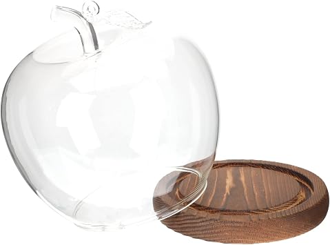 Zerodeko Glass Display Cloche Dome with Wood Base Bell Jar Craft Figurine Jewelry Display Dome Clear Small Dome Decoration