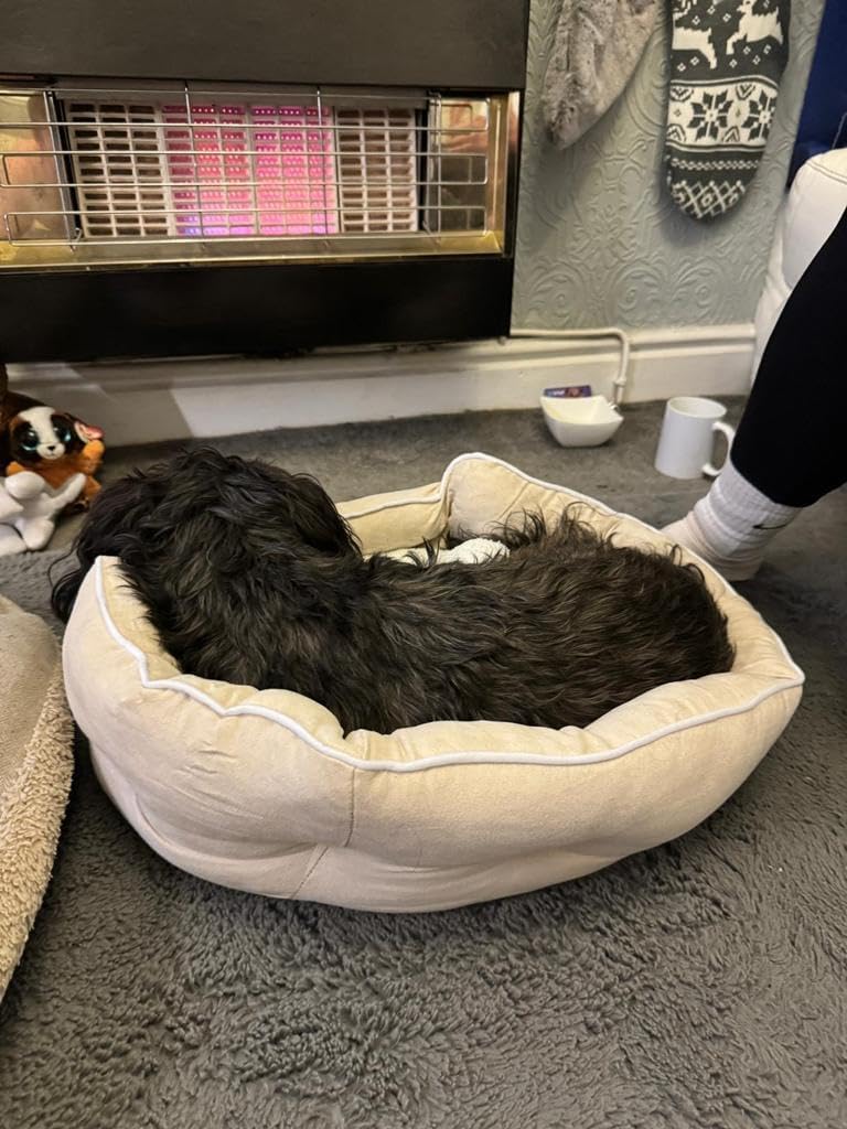 Webeasy Dark Grey Dog Cat Bed Small Pet Sofa Bed, Small Dog Bed Washable, Soft Pet Sleeping Bed for Dogs, Cats, Kittens and Puppies Super Soft and Comfortable Plush Dog Bed with Non-Slip Bottom,S 8 61kBp1b qQL. AC SL1024