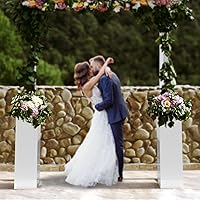 Vista 70 de Acrylic Display Riser Box Clear Plexiglass 12" x 12” x 19” No Lid Hollow Pedestal 5 Sided Display Trinkets Flowers Dust Cover Bin Collectible Items