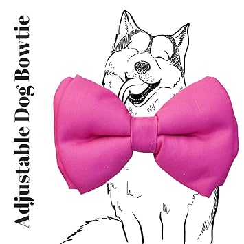Lana Paws Pink Martini Bowtie with Easy to Use Adjustable Strap