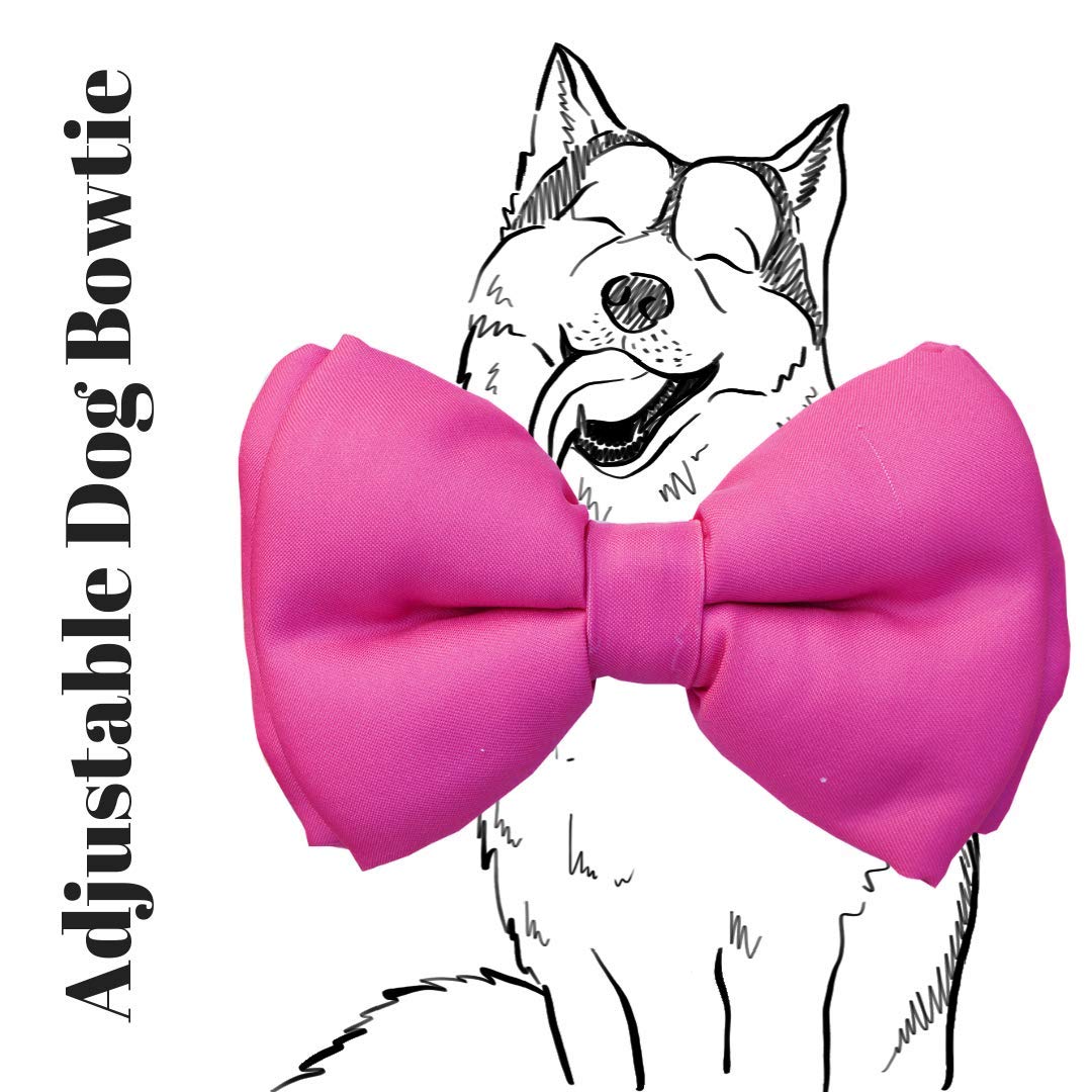 Lana Paws Pink Martini Bowtie with Easy to Use Adjustable Strap (B07MFQWRSJ) Amazon Price History, Amazon Price Tracker