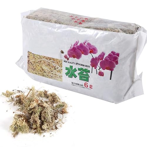 Miniatura 2 de 6L Garden Sphagnum Musgo Hidratante Nutrición Fertilizante Orgánico para Orquídea Phalaenopsis, Orquídea Sphagnum Musgo Secado