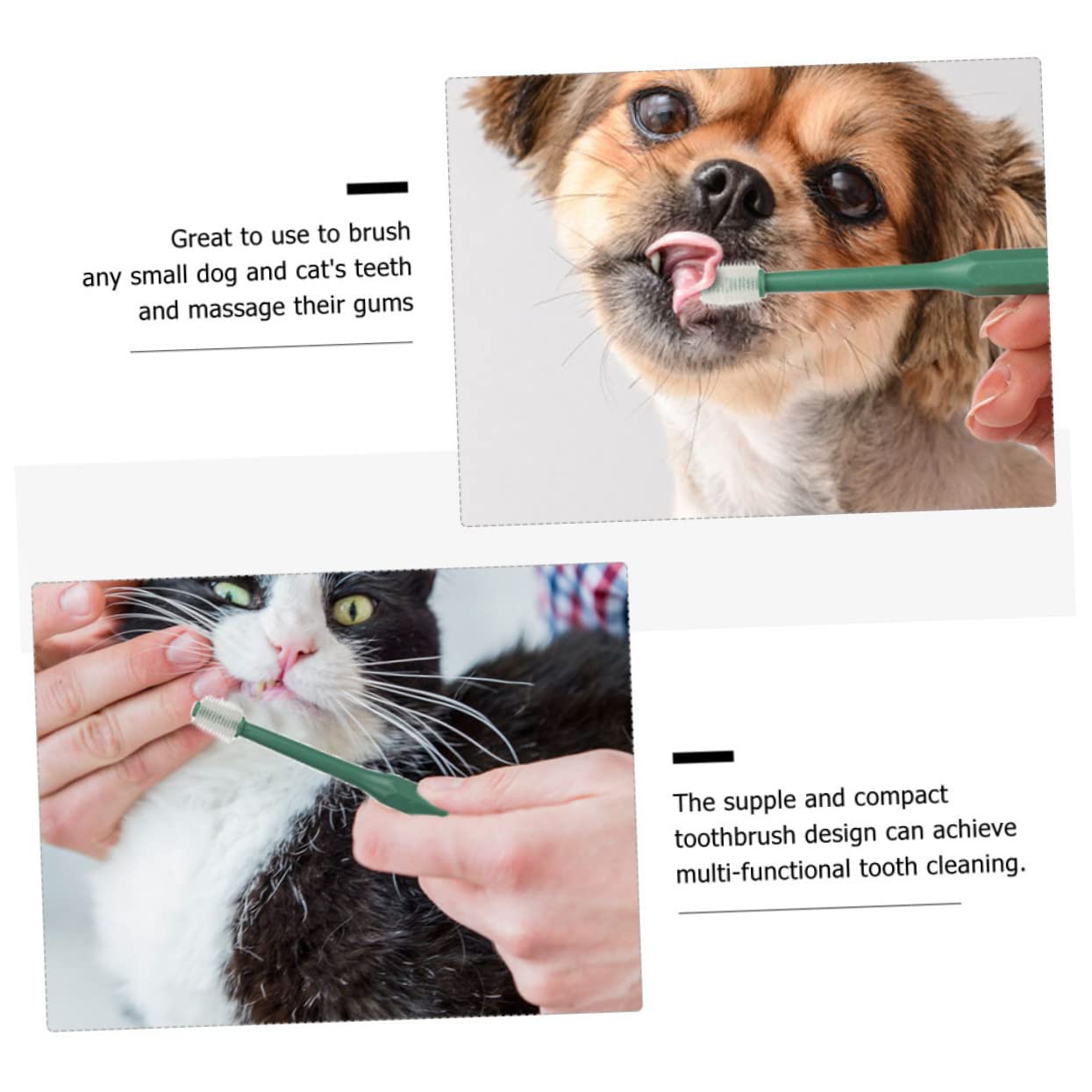 Housoutil 12 Pièces brosse à dents kit de nettoyage des dents d'animaux dents de chiot tartre fournitures de soins infirmiers brosses à dents poids léger Provisions voyage type