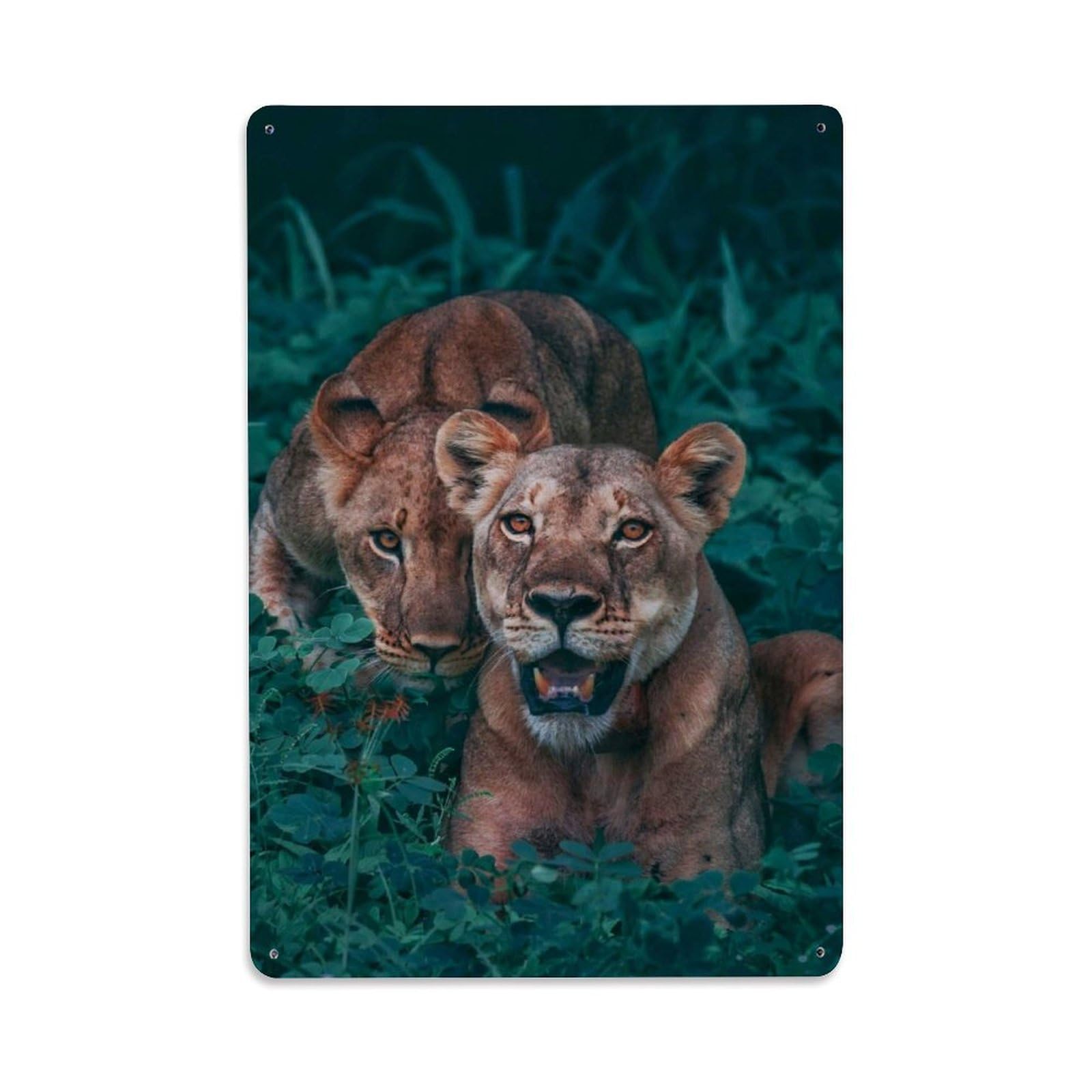 Geographic Travel Wildlife Vintage African Lioness Hunting Metal Tin Sign Plaque Wall Decor for Cafe, Man Cave, Club Bar, Office, Home Garden Round Metal Poster 8x12Inch
