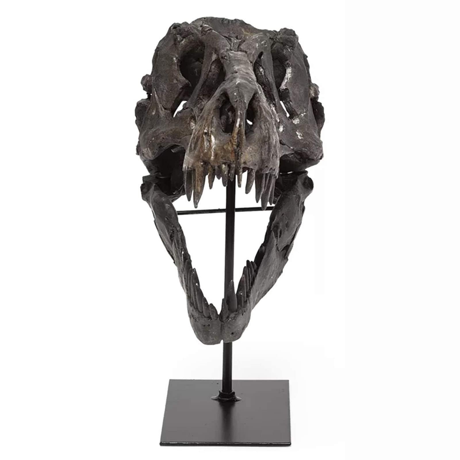 Dekoracja biurka Artystyczna Statua - Rzeźba Ozdoby - Statua Czaszki Dinozaura, Model w Skali 1/10 Tyranozaur Rex Czaszka Żywica Rzeźba Realistyczna statuetka w kształcie dinozaura Blat
