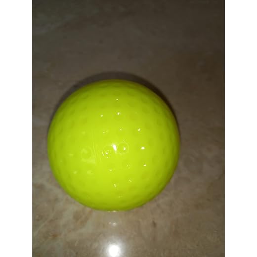 GDON Softball Practice Ball 110g 12