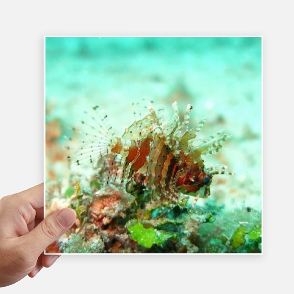 Sticker lionfish océan pour personnaliser votre valise de voyage