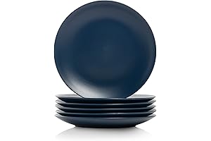 10 Strawberry Street Wazee Matte 8.25" Coupe Salad Plate 6-Piece Set: Maximize Mealtime Aesthetics