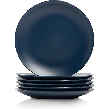 10 Strawberry Street Wazee Matte 8.25" Coupe Salad Plate 6-Piece Set: Maximize Mealtime Aesthetics
