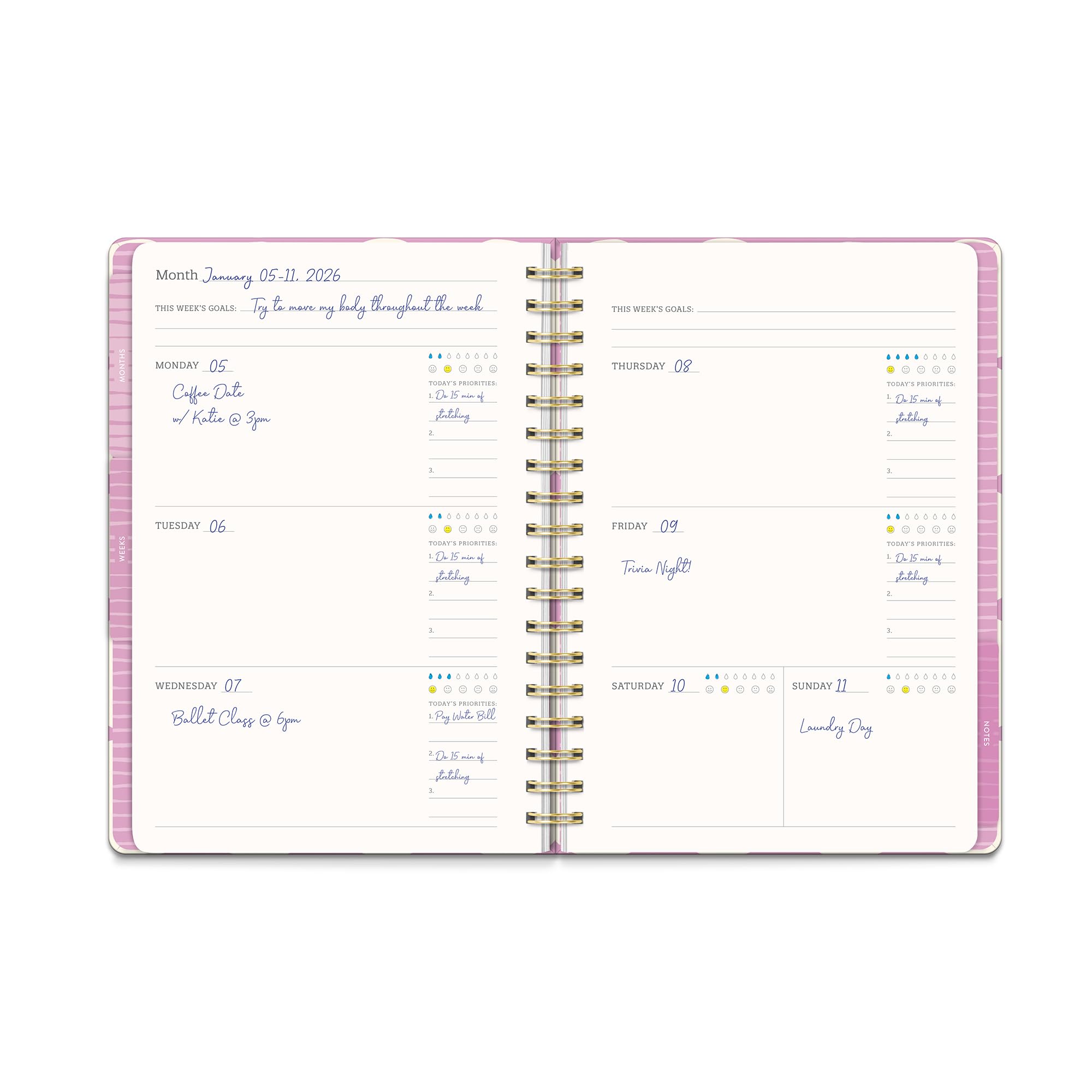 Agenda giornaliera senza date, planner settimanale e mensile con adesivi, calendario Orange Circle Studio 17 mesi, 17,8 x 24,4 cm, ideale per scuola e ufficio, planner Tri-Tab, stampa fiera floreale