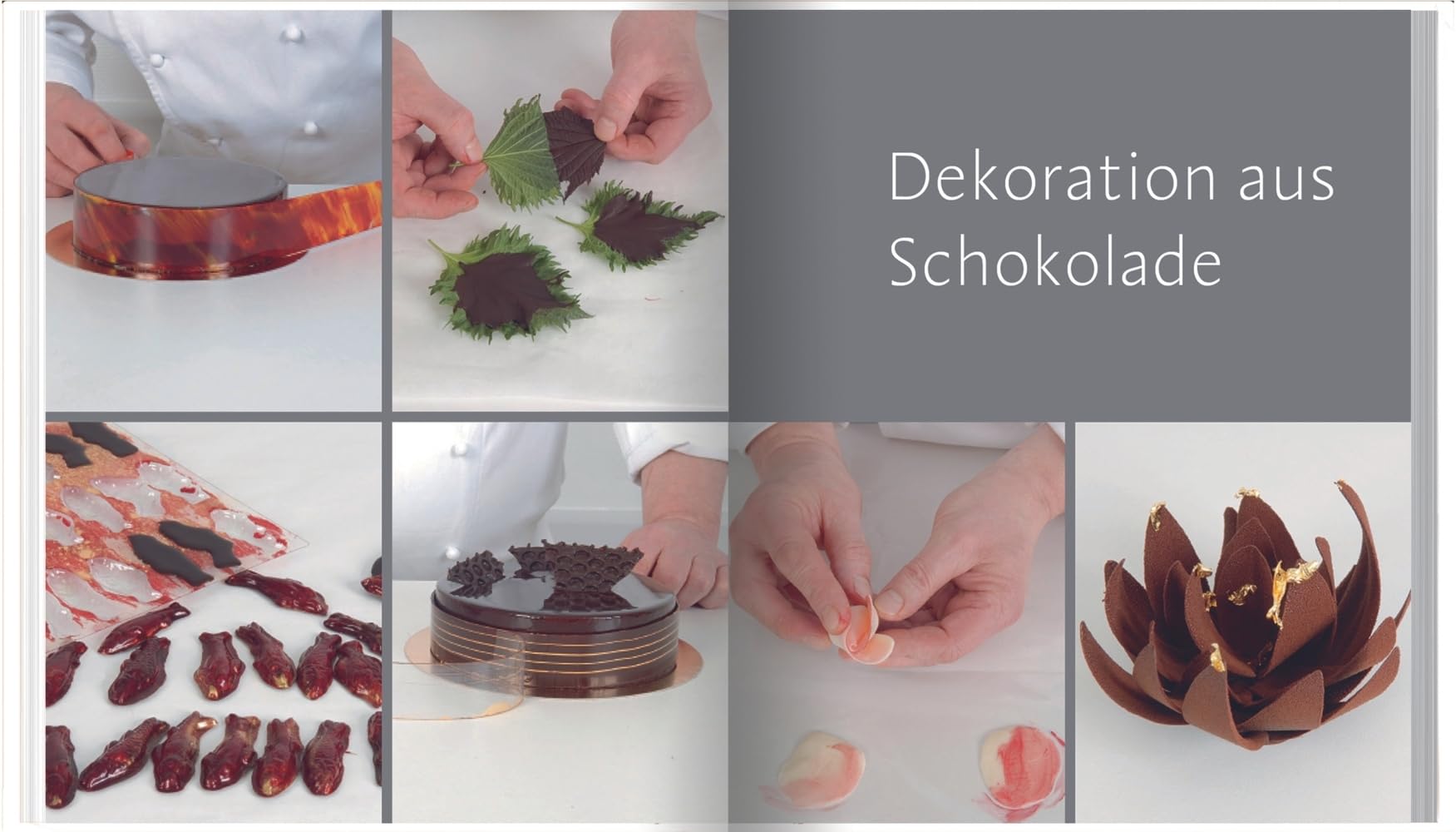 Schokolade: Rezepte aus der renommierten Konditorschule Schritt für Schritt erklärt. 170 raffinierte Rezepte und Tipps von Patisserie-Profis für köstliche Schokoladenkreationen: Ganache, Pralinen & Co