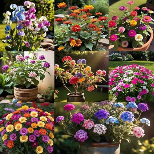 Image of Low Maintenance Hybrid Flower Seeds Combo Pack- All Year Flower Seeds Supply (50 VARIETIES)