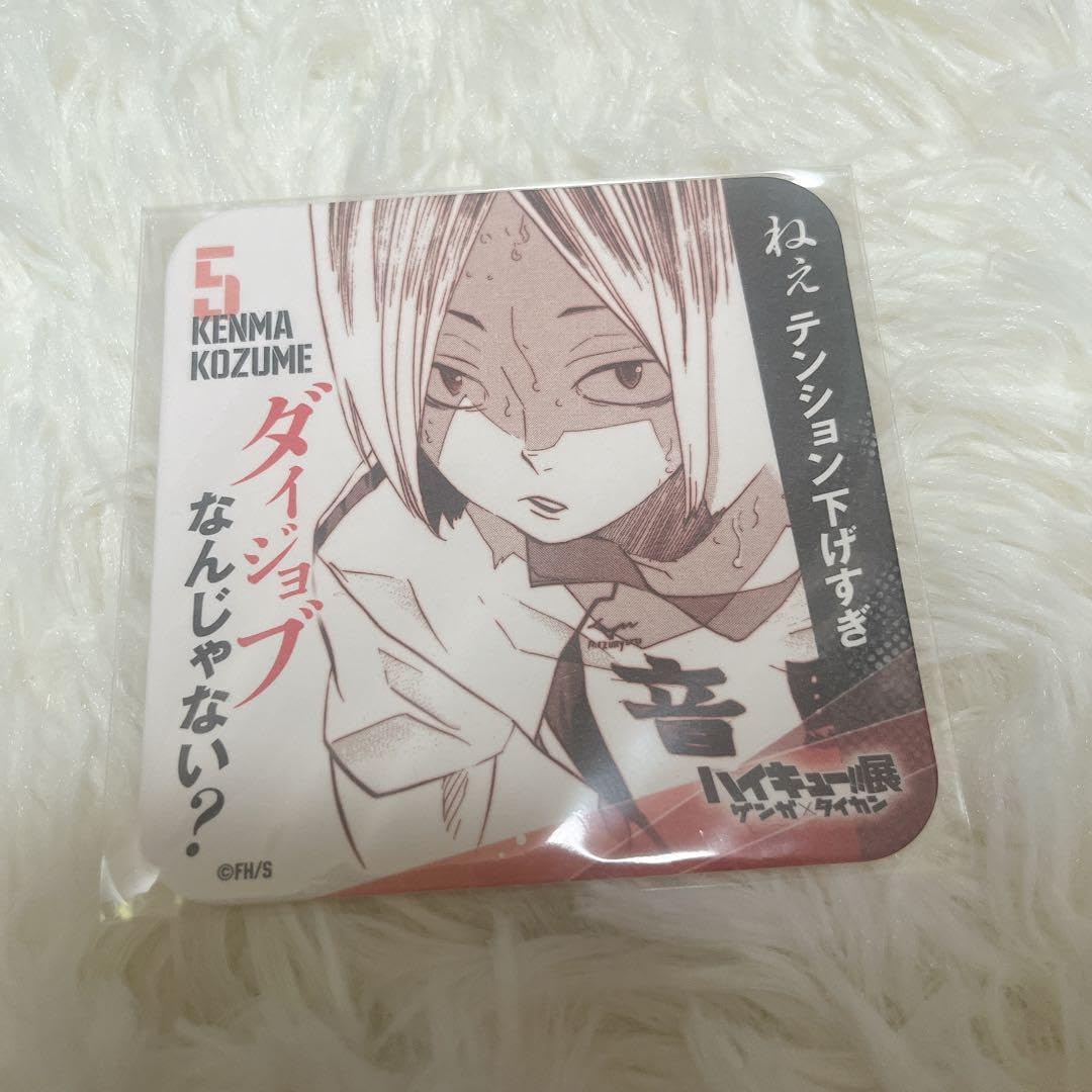 ゲンガ×タイカン 青春激励コースター ハイキュー展 コースター