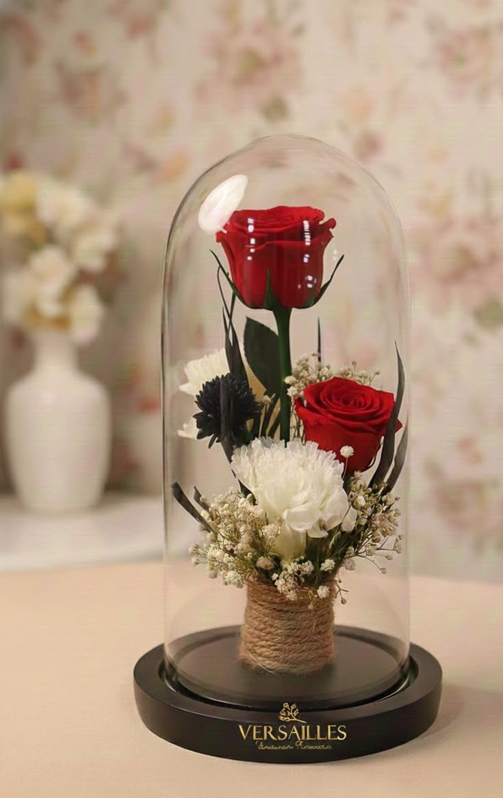Versailles Preserved Red Rose in Glass Dome – Handcrafted Everlasting Flowers with Carnations & Baby’s Breath, Elegant Wooden Base – Unique Gift for Anniversary, Valentine’s Day & Home Decor-image-21