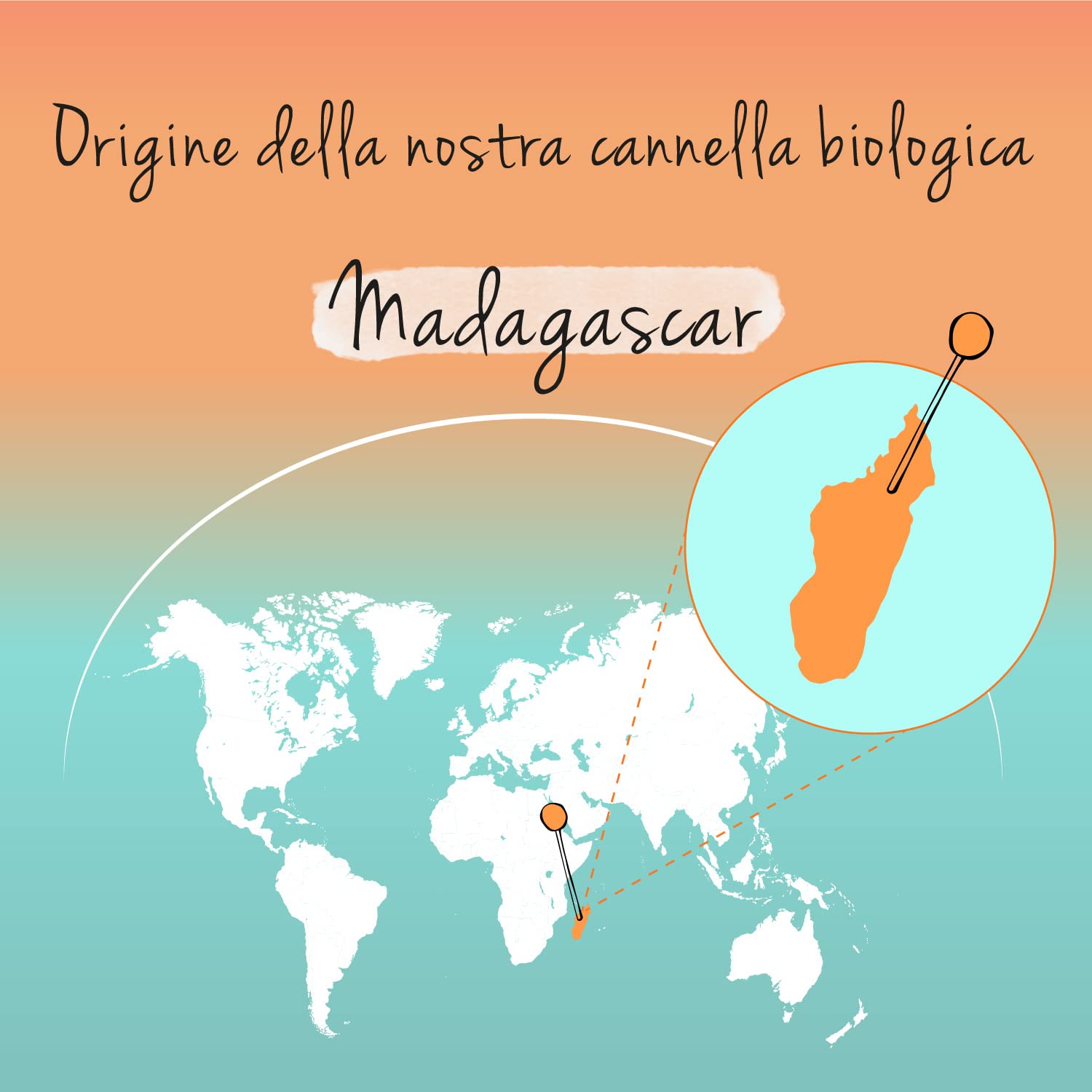 CANNELLA CEYLON BIO Vegavero® | 2500 mg (5:1) | 4 Mesi di Fornitura | Cinnamon (Zimt) dal Madagascar | con 0,7% di Tannini | Vegan