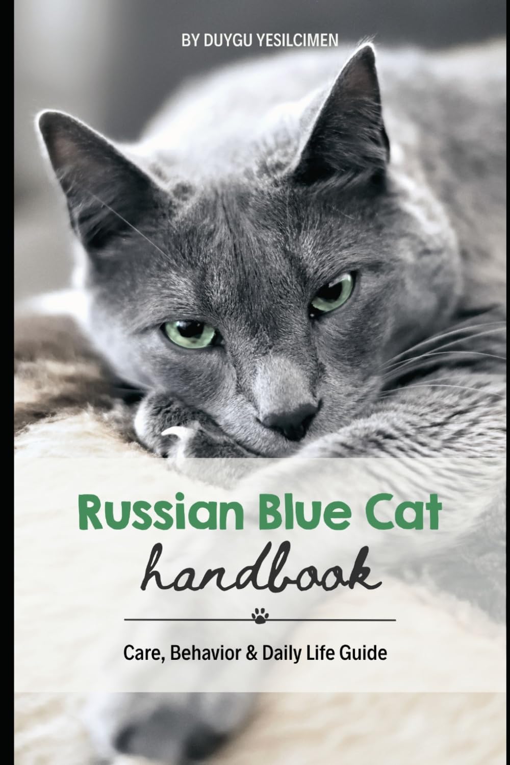 Russian Blue Cat Handbook: Care, Behavior & Daily Life Guide