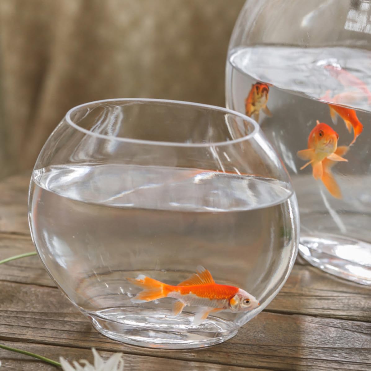 Aquarium en Verre Transparent pour Betta et Poissons, Réservoir Élégant en Verre Finement Travaillé, Accessoire Chic pour Décoration de Bureau ou Boutique