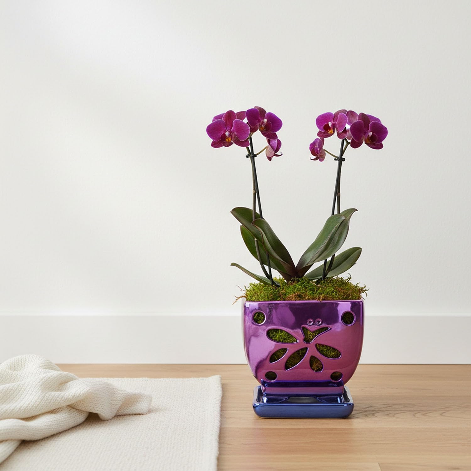 Orchid Pots with Holes Square Ceramic Orchid Planter Pots 5.5 inch (Purple)