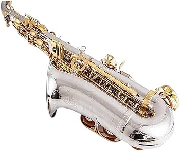 ゴールド アルトサックス ケース付き アルトサックス 初心者セット E Saxophone ゴールドラッカー ケース