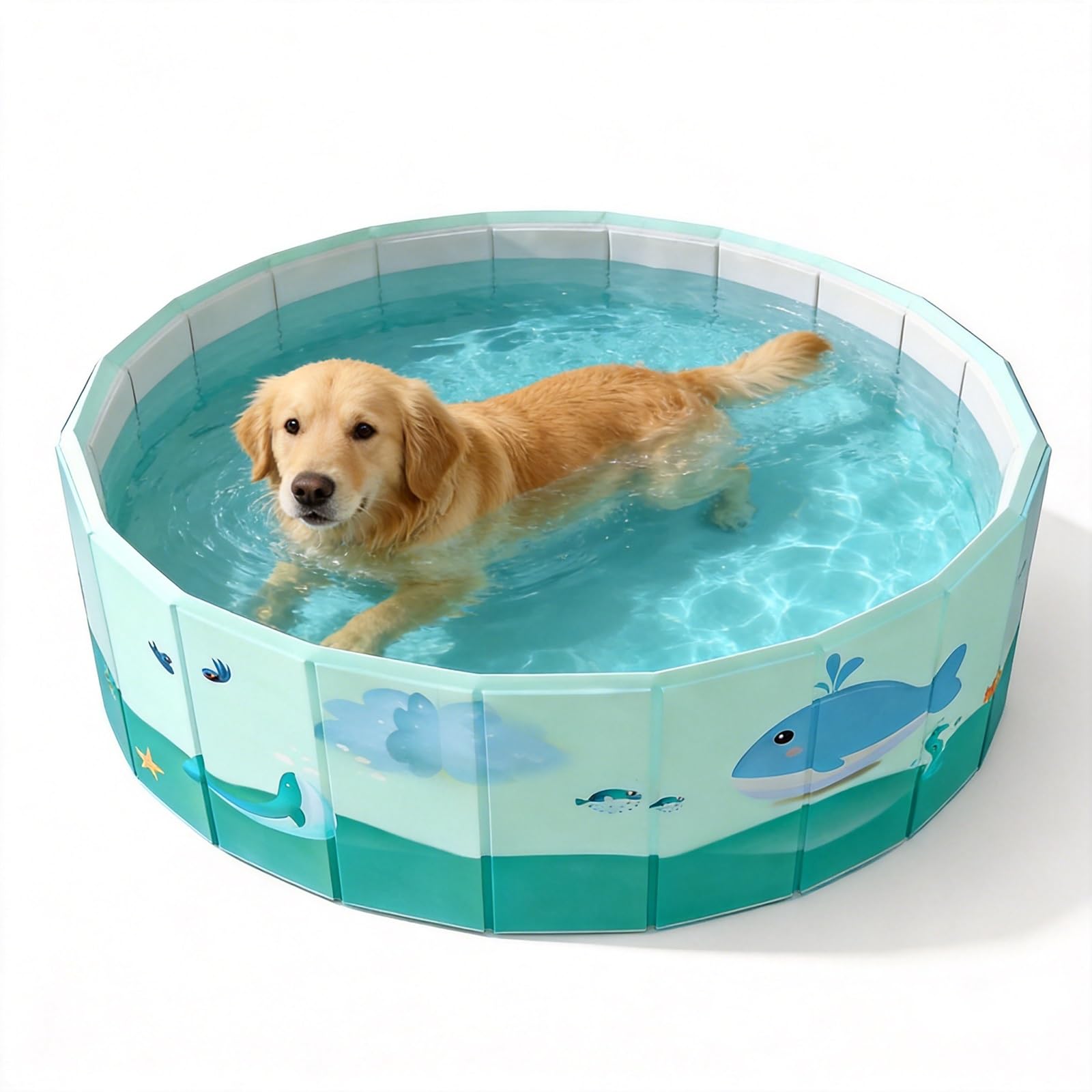 Foldable Dog Pool,Pool Hard Plastic, Collapsible Pet Bath Portable Dog Swimming Pool for Pet, Dogs and Cats(B,100)