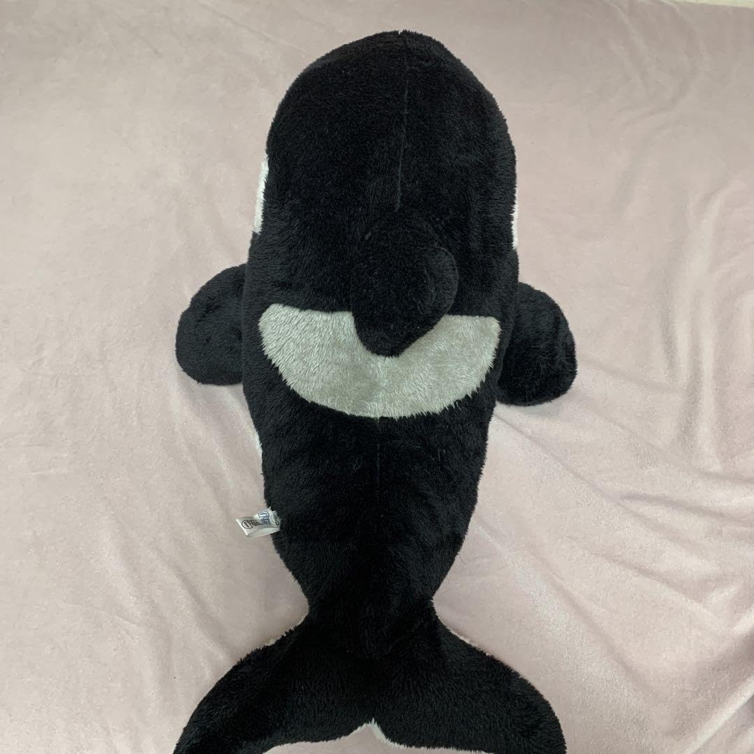 Amazon.co.jp: 鴨川シーワールド シャチくじのぬいぐるみ 約30cm 3等