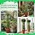 ElaraBerry 2 Pcs 63 Inch Garden Obelisk Trellis for Climbing Plants Outdoor, Mushroom Top Flower Trellis Rustproof Metal Tomato Trellises for Potted Plants Rose Climbing Vine Tomato Cucumber Grape